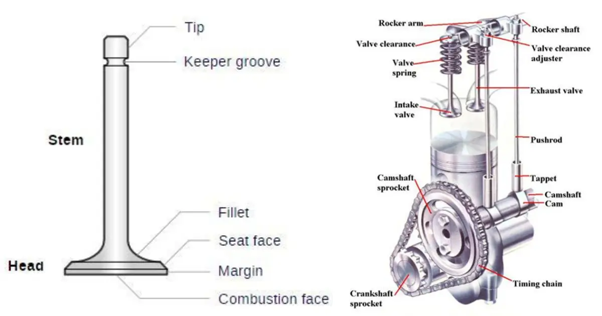 engine-valves-and-tappet-clearance